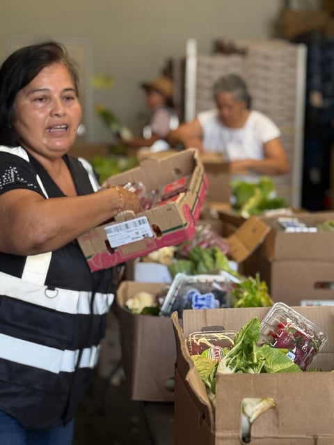 Woman in safety vest packing fresh produce and groceries into cardboard boxes at a food distribution center